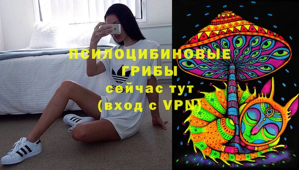 круглые Корсаков