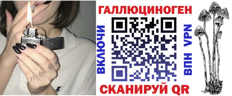 Галлюциногенные грибы Psilocybine cubensis  Купить где  Новозыбков 