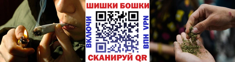 Бошки Шишки план  Купить закладки  Новозыбков 